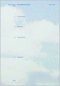 SCHILD Marie_MAIA Thesis 2024.pdf